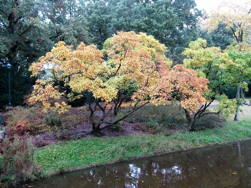 Bed And Breakfast Eugenie Eindhoven Netherlands